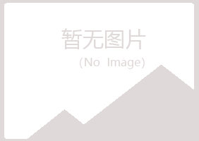 兴山区倾城服务有限公司